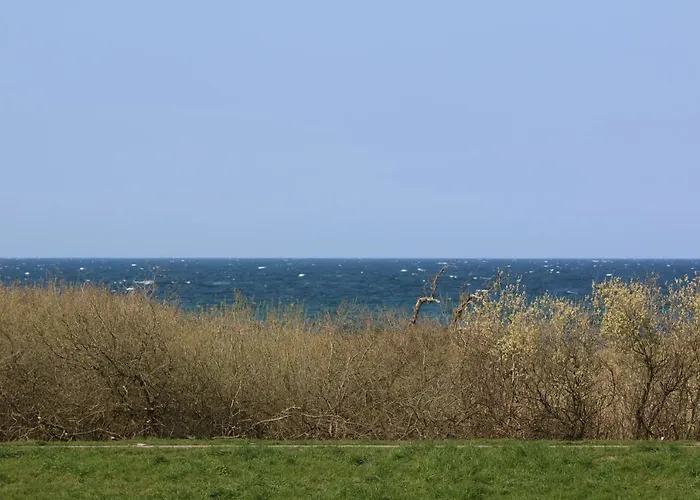 Dorschjaeger * Börgerende-Rethwisch