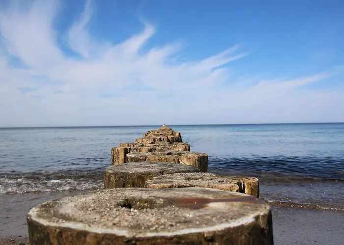 Lejlighed Dorschjaeger